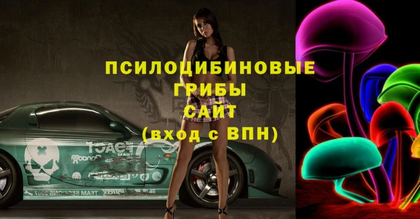 сатива Алзамай