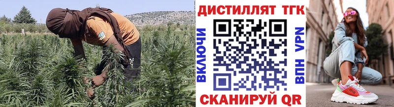 где найти наркотики  Лесосибирск  ТГК гашишное масло 